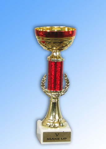Дипломы