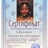 Дипломы